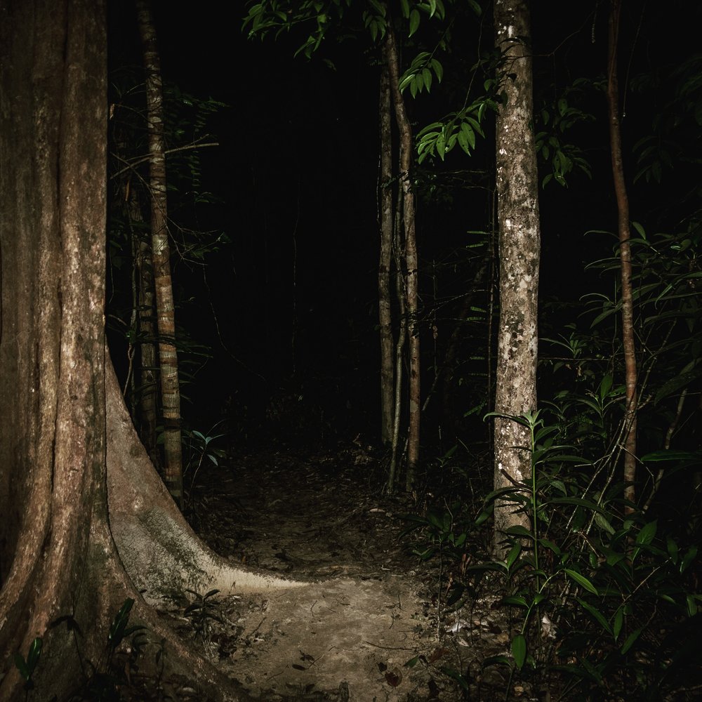 The path back from Sunset Beach at night